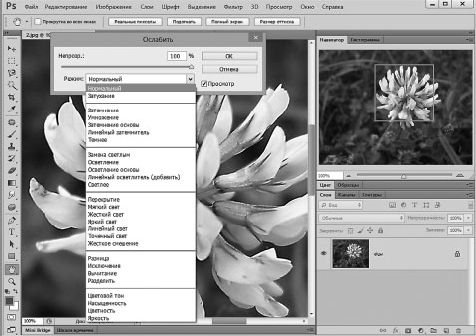Александр Заика - Photoshop для начинающих