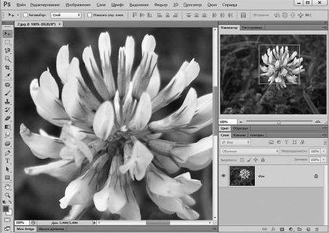 Александр Заика - Photoshop для начинающих