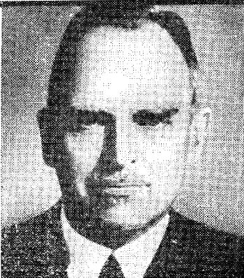 Дэвид Ирвинг - Вирусный флигель