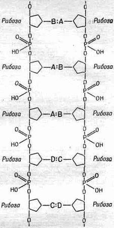 Ричард Фейнман - Фейнмановские лекции по физике 1. Современная наука о природе,...