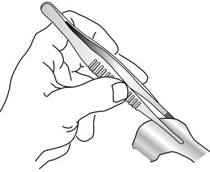 В. Лебедев, Геннадий Семенов - Топографическая анатомия и оперативная хирургия...