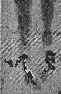 Хольгер Керстен - Иисус жил в Индии