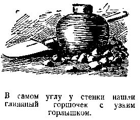 Владимир Обручев - В дебрях Центральной Азии. Записки кладоискателя
