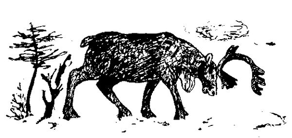 Станислав Олефир - Иду по тайге