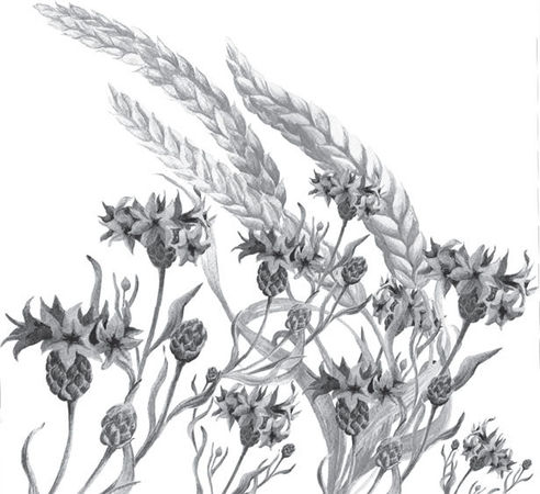 Наталья Сердцева - 99 секретов астрономии