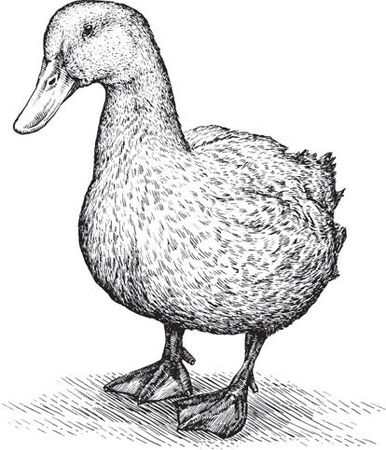 Наталья Сердцева - 99 секретов астрономии