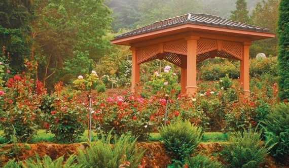 Лариса Петровская - Большая книга дачника