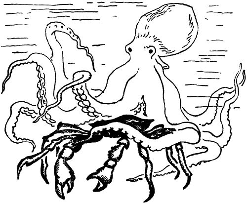 Игорь Акимушкин - С утра до вечера