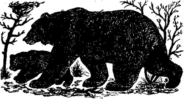 Станислав Олефир - Иду по тайге