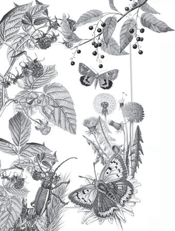 Наталья Сердцева - 99 секретов астрономии