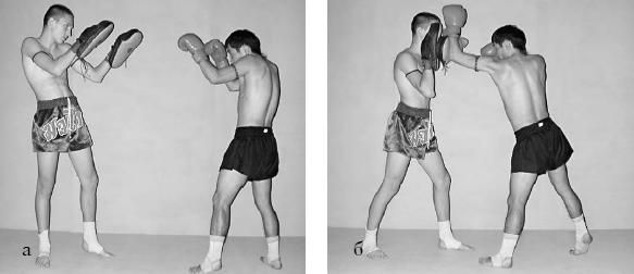 Аман Атилов, Бим Бэкман - 100 лучших приёмов тайландского бокса