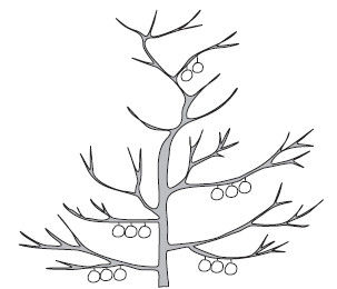 Лариса Петровская - Большая книга дачника