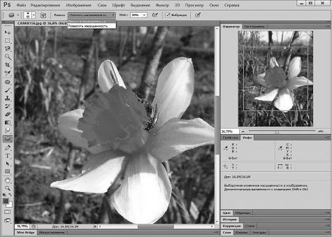 Александр Заика - Photoshop для начинающих