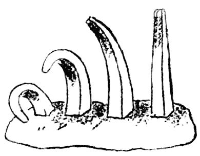 Елена Данько - Китайский секрет