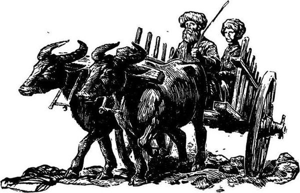 Магомед Мамакаев - Мюрид революции