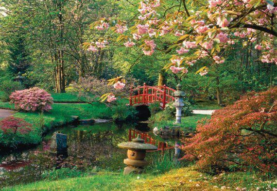 Лариса Петровская - Большая книга дачника