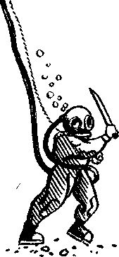 Константин Золотовский - Рыба-одеяло