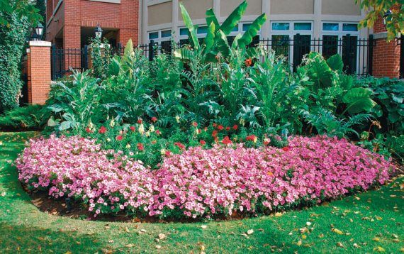 Лариса Петровская - Большая книга дачника