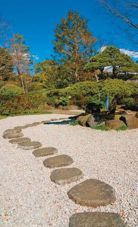 Лариса Петровская - Большая книга дачника