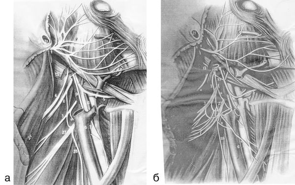 В. Лебедев, Геннадий Семенов - Топографическая анатомия и оперативная хирургия...