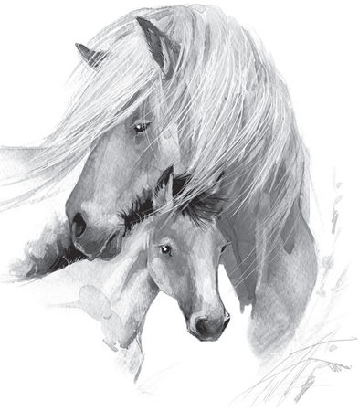 Наталья Сердцева - 99 секретов астрономии