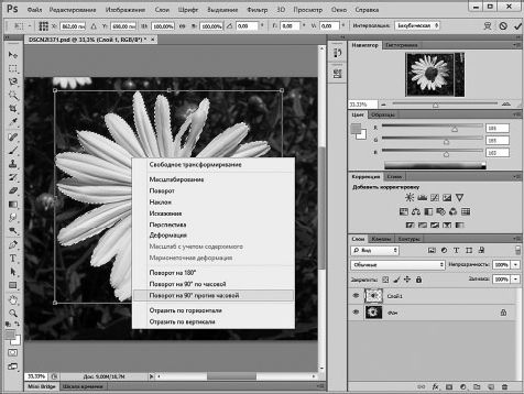 Александр Заика - Photoshop для начинающих