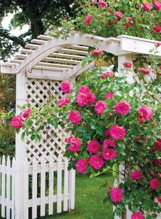 Лариса Петровская - Большая книга дачника