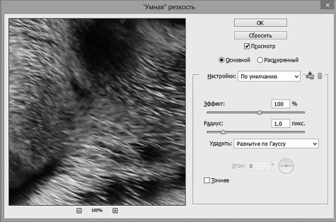 Александр Заика - Photoshop для начинающих