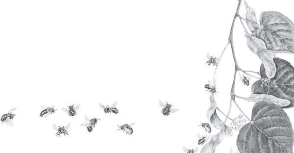 Наталья Сердцева - 99 секретов астрономии