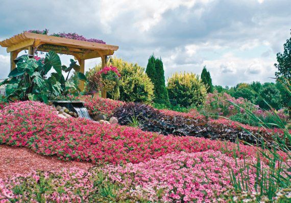 Лариса Петровская - Большая книга дачника