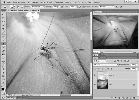 Александр Заика - Photoshop для начинающих