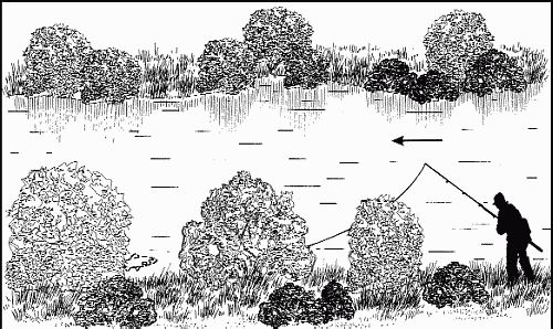 Сергей Смирнов, Александр Пышков - Клёвая книга современного спиннингиста