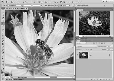 Александр Заика - Photoshop для начинающих