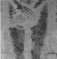 Хольгер Керстен - Иисус жил в Индии