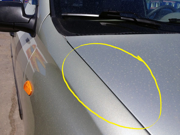 Александр Долгих - Секреты автоподбора, или Как выбрать лучший на рынке...