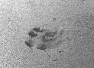 Станислав Кузин - ВСТРЕЧИ НА ПЕРЕКРЕСТКАХ