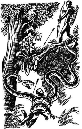 Гбанфу - Камелефата