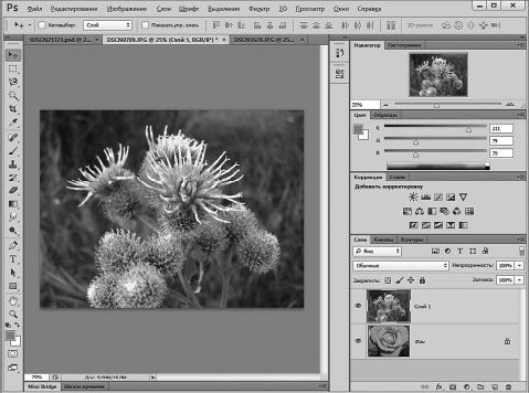 Александр Заика - Photoshop для начинающих