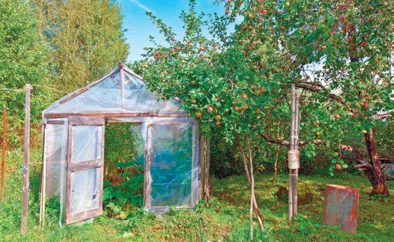 Лариса Петровская - Большая книга дачника