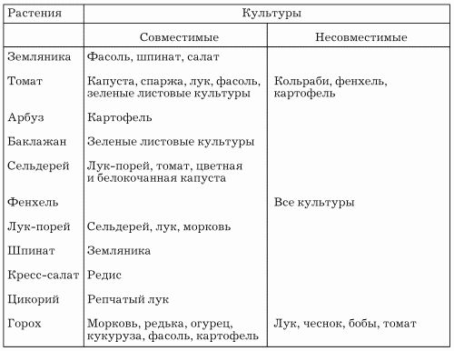 Наталья Иванова - Планировка участка