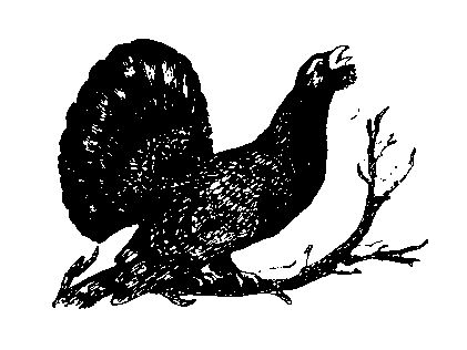 Станислав Олефир - Иду по тайге