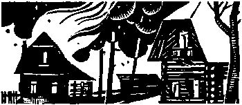 Петр Заводчиков, Семен Самойлов - Девичья команда. Невыдуманные рассказы