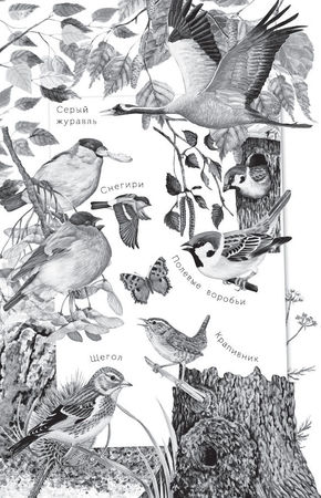 Наталья Сердцева - 99 секретов астрономии