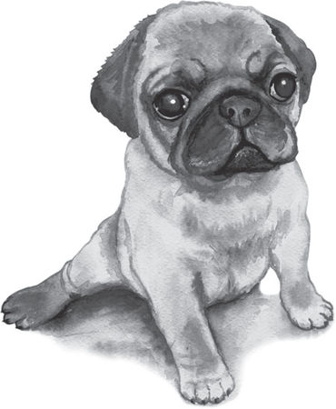 Наталья Сердцева - 99 секретов астрономии