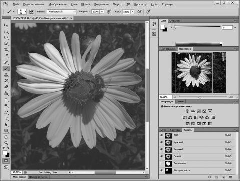 Александр Заика - Photoshop для начинающих
