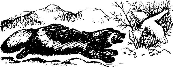 Станислав Олефир - Иду по тайге