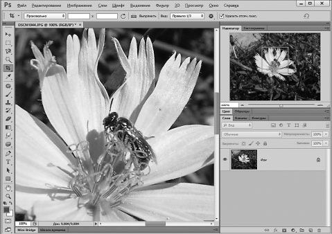Александр Заика - Photoshop для начинающих