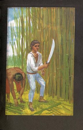 Луи Буссенар - Охотники за каучуком