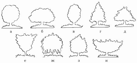 Наталья Иванова - Планировка участка