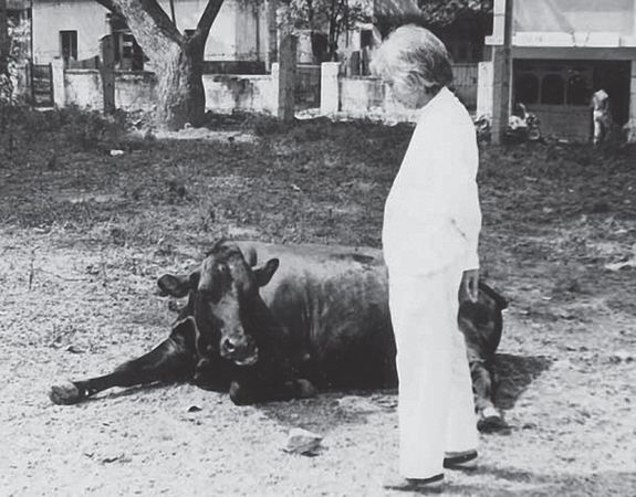 Уппалури Кришнамурти - Биология просветления